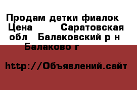 Продам детки фиалок › Цена ­ 50 - Саратовская обл., Балаковский р-н, Балаково г.  »    